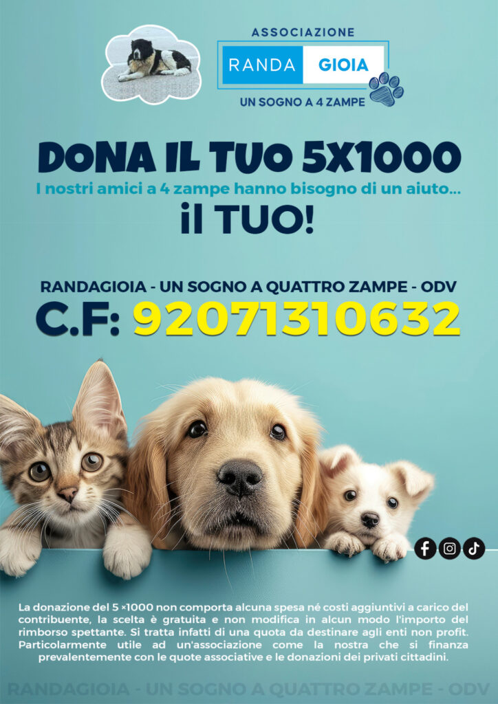 Immagine della locandina 5 x 1000 nella home page dell'Associazione di protezione animali Randagioia, con link alla pagina 5 x 1000