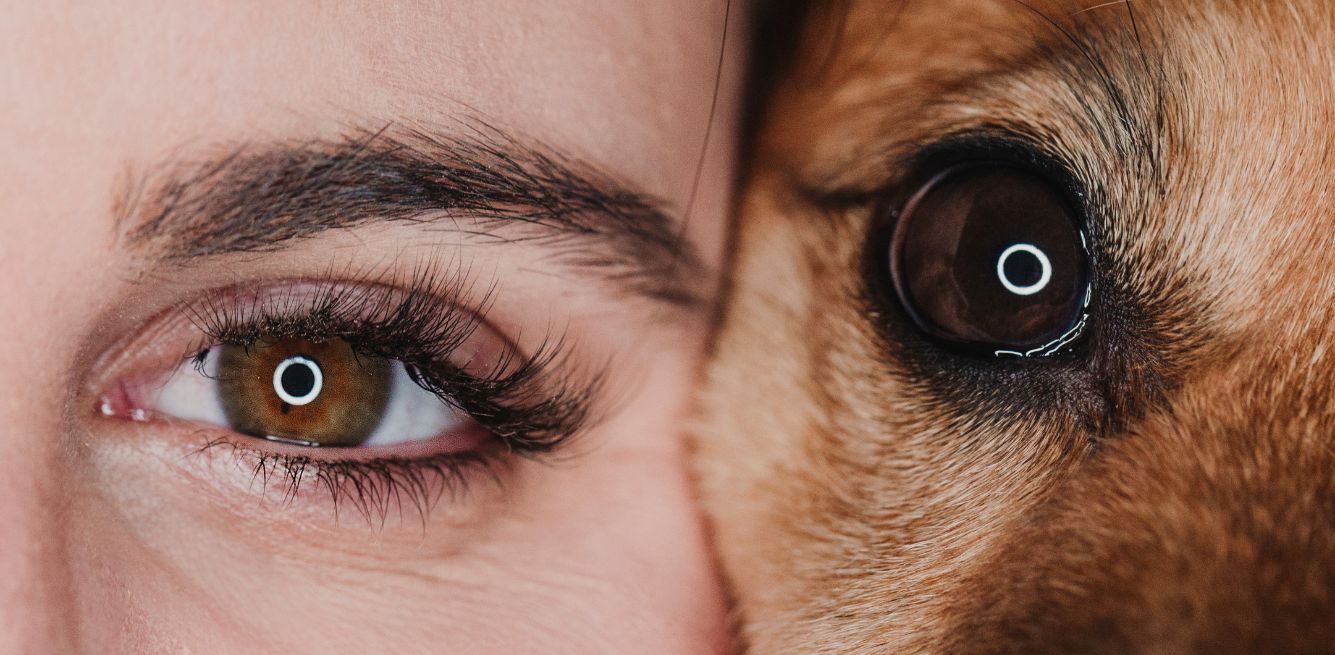 Immagine di una donna e un cane nella pagina chi siamo dell'Associazione Randagioia che spiega chi è l'associazione e come diventare volontario