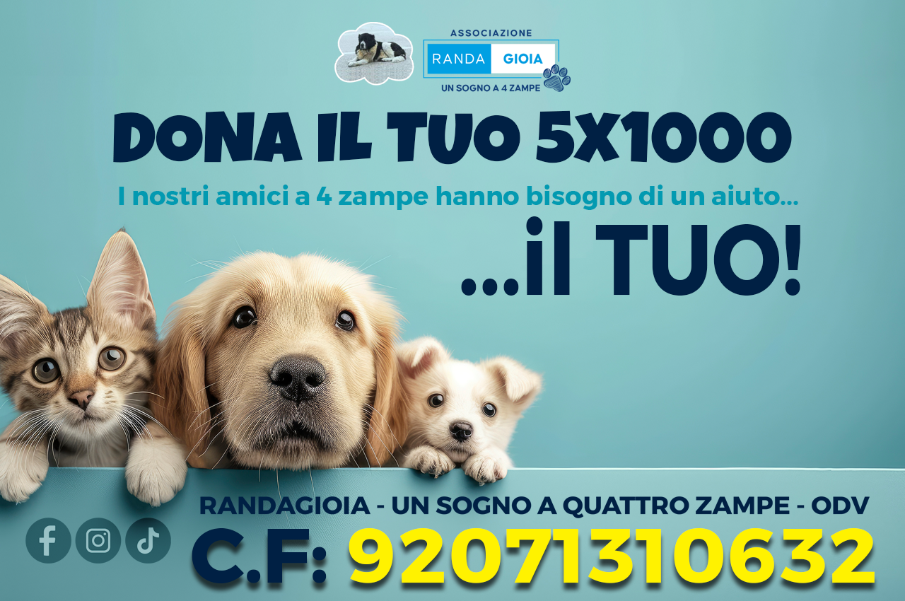 Immagine di copertina della pagina 5 x mille dell'associazione randagioia, che per raggiugere i suoi obiettivi ha bisogno del tuo 5 x 100 e di donazioni libere.