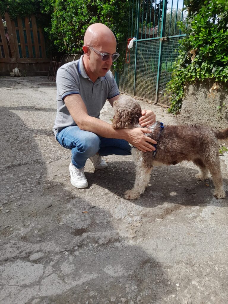 IMMAGINE DEL CANE oscar NELLA SUA NUOVA CASA E FAMIGLIA Adottati, le nostre adozioni di successo.