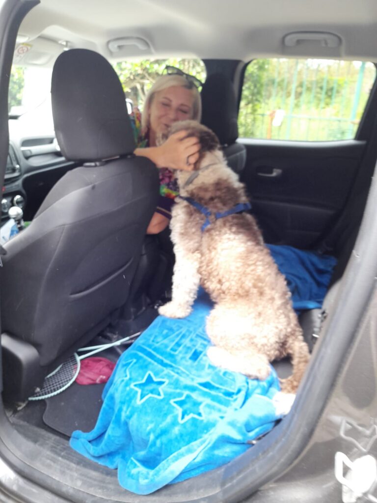 IMMAGINE DEL CANE oscar NELLA SUA NUOVA CASA E FAMIGLIA Adottati, le nostre adozioni di successo.